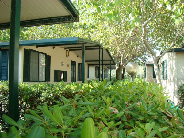 Esterno di bungalow con tettoia, finestre verdi e piante rigogliose attorno.