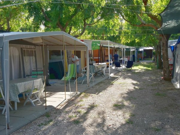 Roulotte allineate in campeggio alberato.