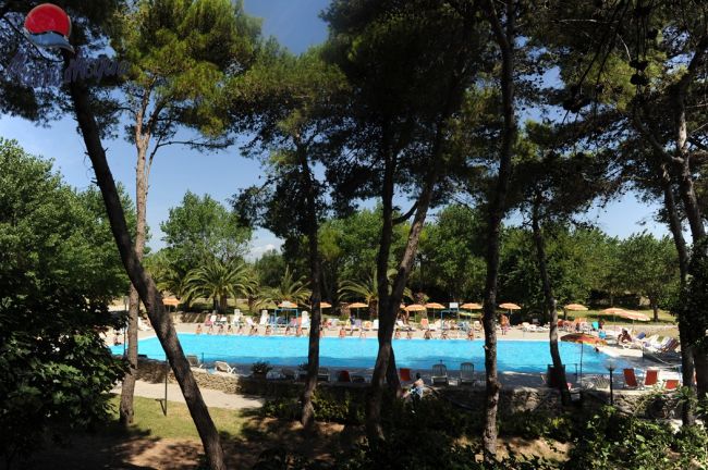 Una piscina con lettini e ombrelloni tra gli alberi.
