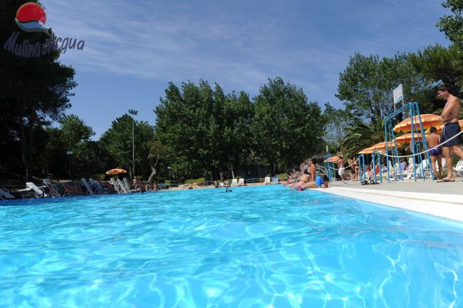 Vista ravvicinata di una piscina con persone e ombrelloni.