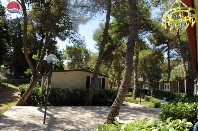 Bungalow tra pini e viali pavimentati con lampioni.