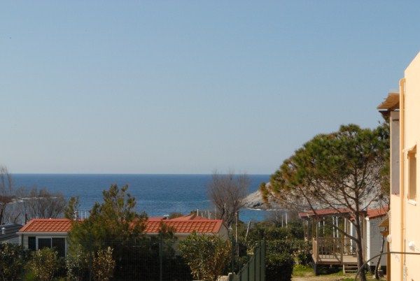 Vista del mare con cielo azzurro tra edifici e alberi.