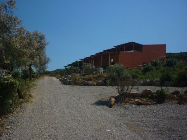 Strada sterrata che conduce a un edificio con vegetazione circostante e cielo blu chiaro.