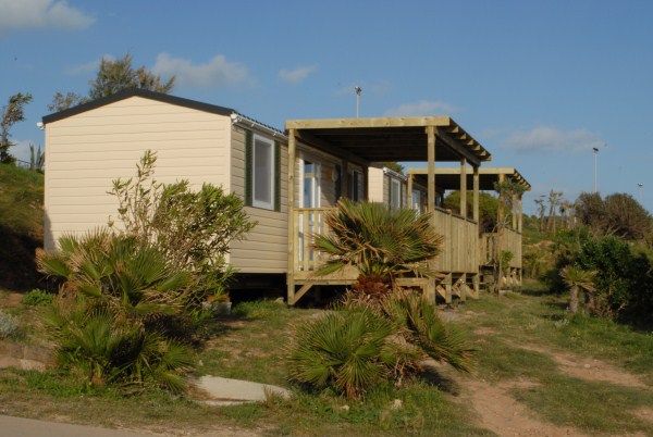 Casa mobile con veranda in legno, circondata da piccoli cespugli e palme.