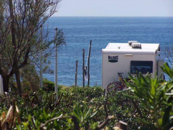Camper bianco vicino al mare, circondato da vegetazione.