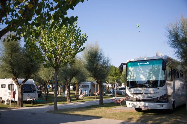 Camper parcheggiati tra alberi in un campeggio.