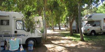 Camper parcheggiati tra alberi in un campeggio ombreggiato.