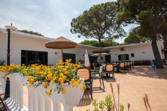 Patio con tavoli, sedie e fiori gialli.