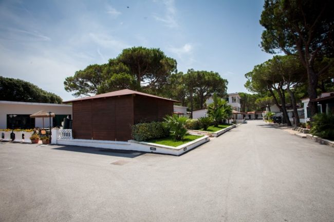 Stradina con edifici e alberi intorno.