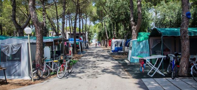 Un campeggio con biciclette e tende tra gli alberi.
