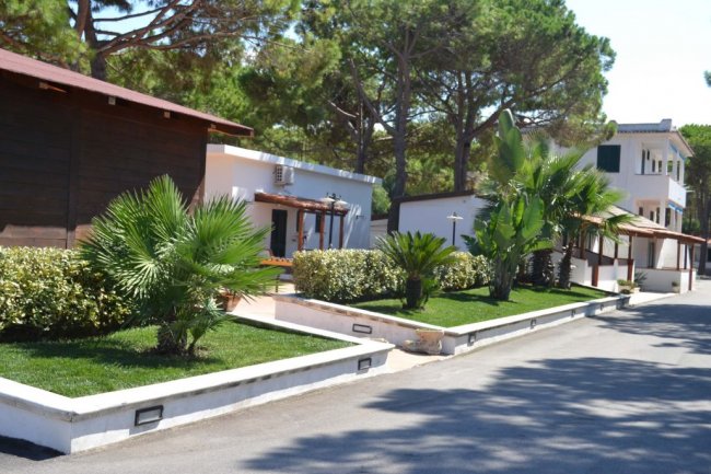 Esterni con bungalow, vialetto e piante tropicali.