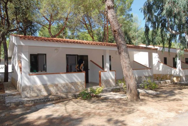 Bungalow bianco circondato da alberi.