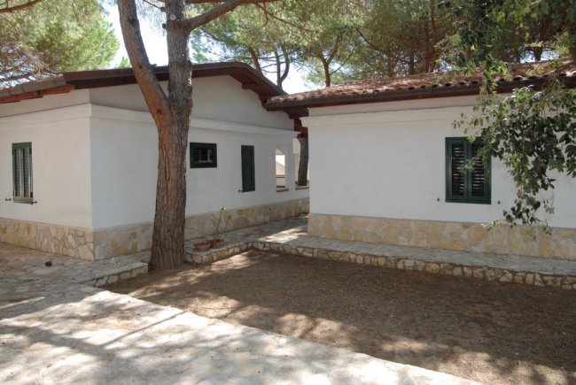 Due bungalow bianchi con pareti in pietra e alberi.