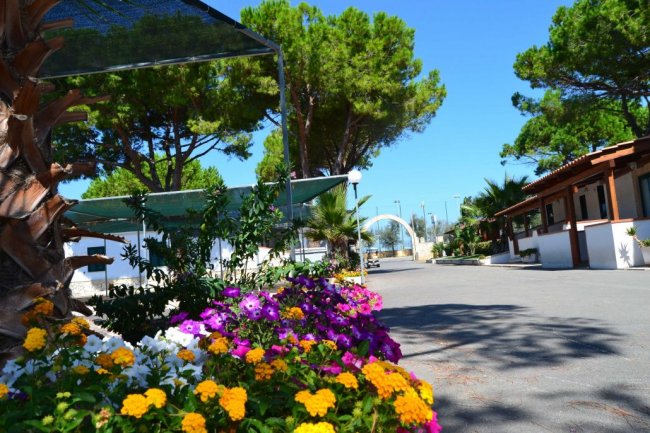 Viale con fiori colorati e alberi verdi.