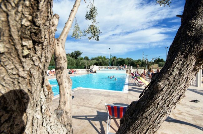 Piscina vista tra tronchi d'albero.