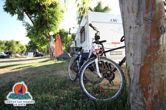 Camper e biciclette in campeggio, alberi e tende accanto.