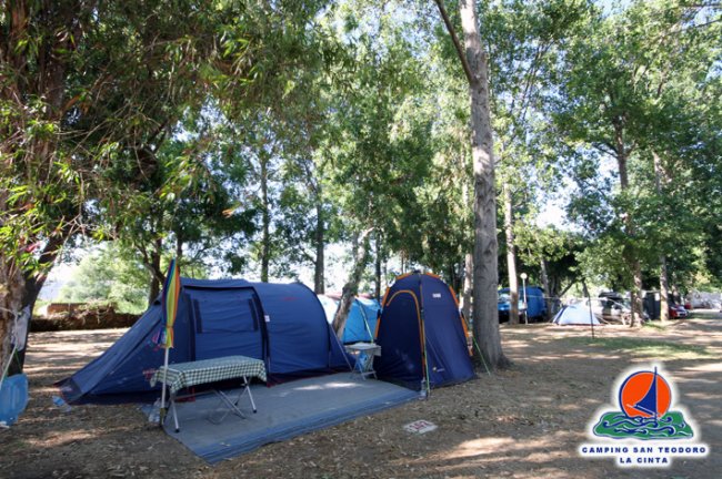 Tende blu in un bosco con tavolo picnic.