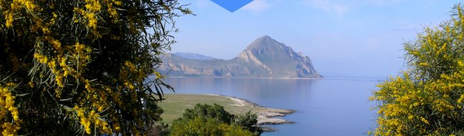 Costa con mare, montagna e fiori gialli.