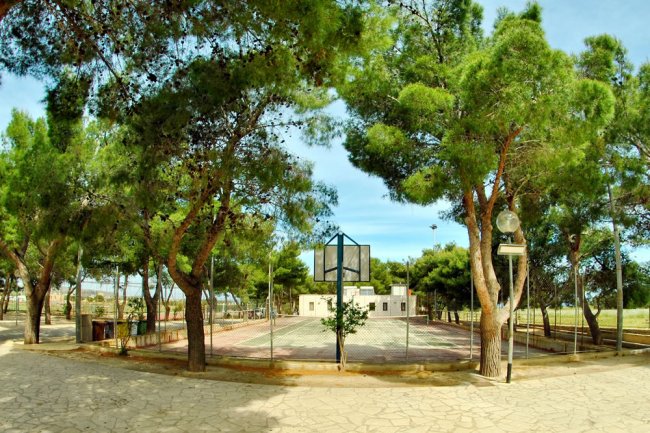 Campo da basket circondato da alberi.