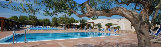 Piscina circondata da sedie a sdraio e un albero.