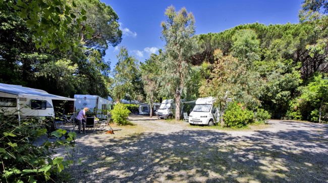 Area camper in campeggio alberato.