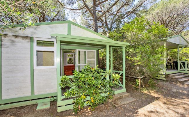 Bungalow tra gli alberi con veranda verde.