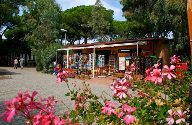 Un negozio colorato con fiori in primo piano.