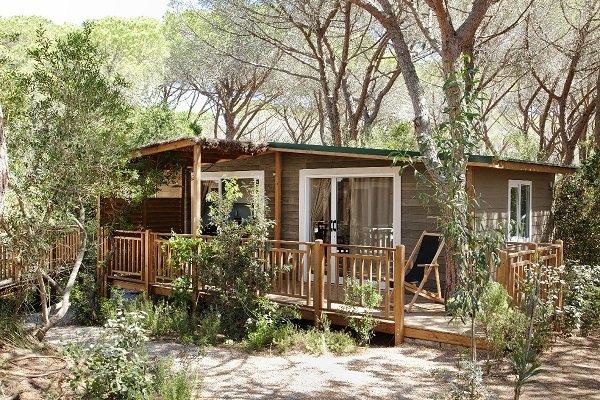 Cottage in legno immerso tra gli alberi.