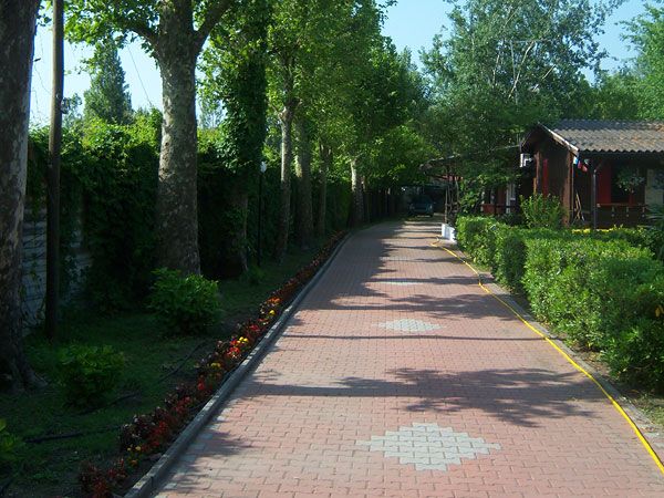 Un vialetto pavimentato, fiancheggiato da alberi e aiuole fiorite.