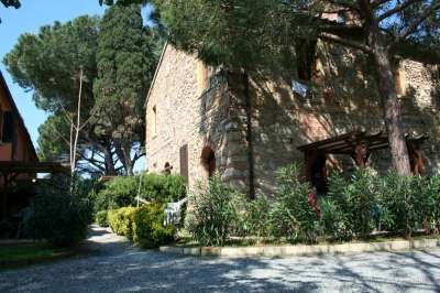 Edificio in pietra con vegetazione e alberi alti attorno.