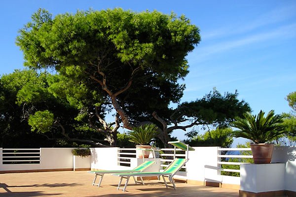 Una terrazza con due lettini verdi, circondata da piante e alberi sotto un cielo azzurro.