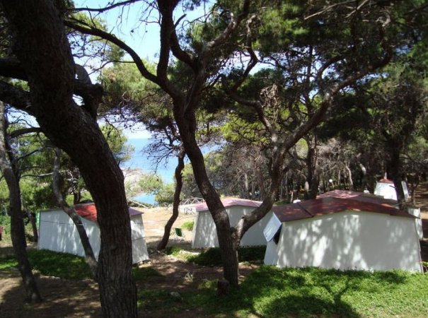 Diverse cabine tra alberi in un bosco vicino al mare.