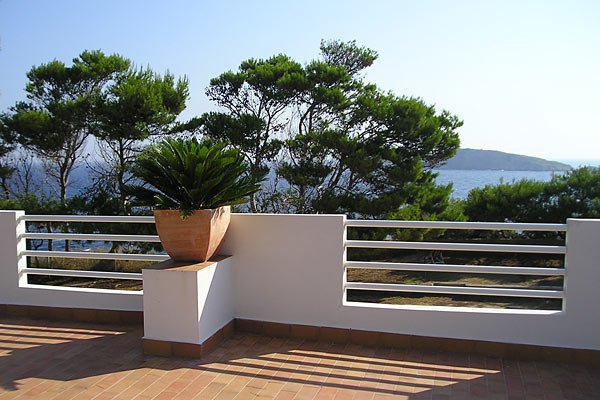 Terrazza con pavimento in piastrelle, piante in vaso e vista su alberi e mare in lontananza.