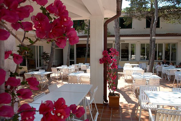 Spazio esterno di un ristorante con tavoli bianchi e bouganville rosa in primo piano.