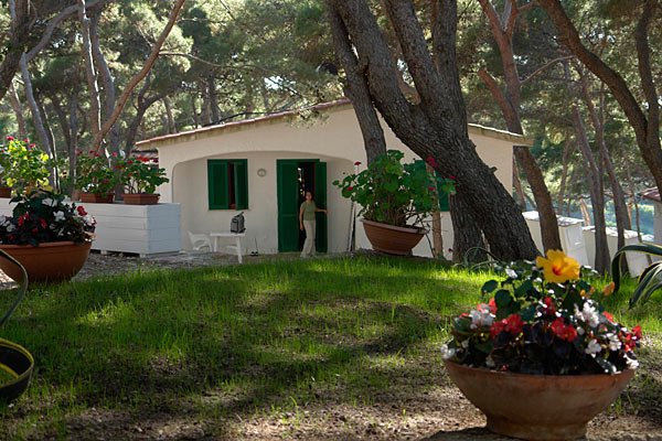 Casetta bianca in un giardino con alberi e fiori colorati.