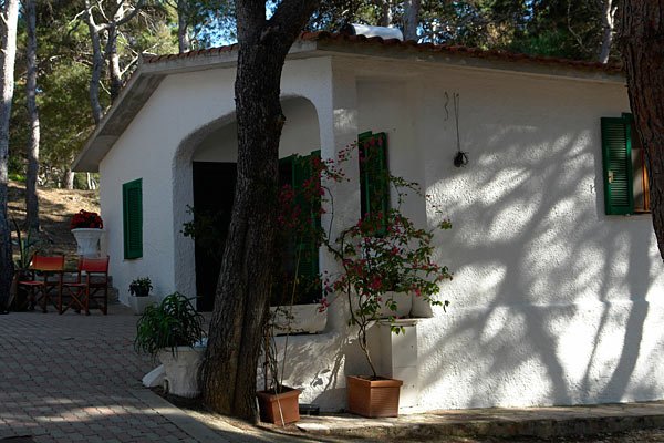 Casa bianca con finestre verdi, ombreggiata da alberi, sedie colorate sul patio.