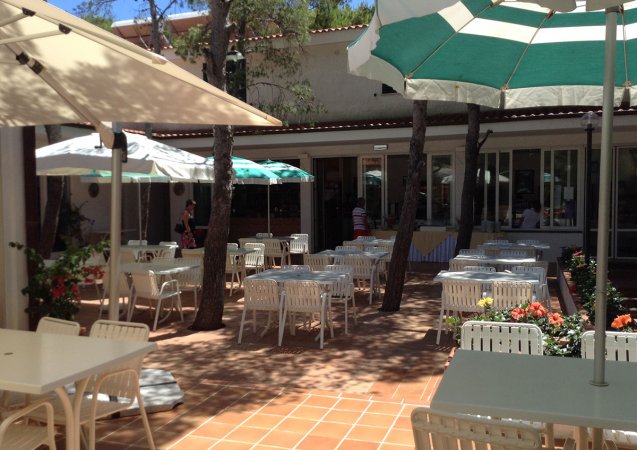 Terrazza con tavoli e ombrelloni, circondata da alberi e fiori.