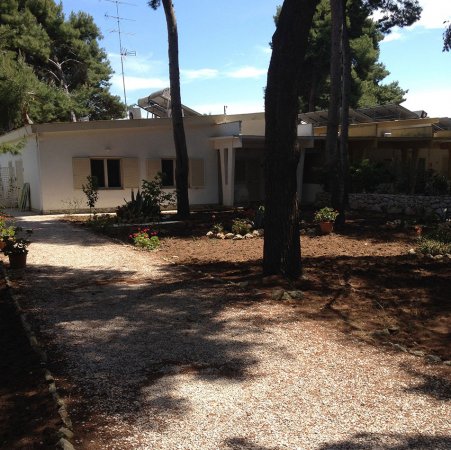 Edificio bianco circondato da alberi e sentieri ghiaiosi.