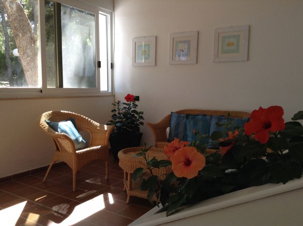 Soggiorno luminoso con sedie di vimini, cuscino blu e fiori arancioni.