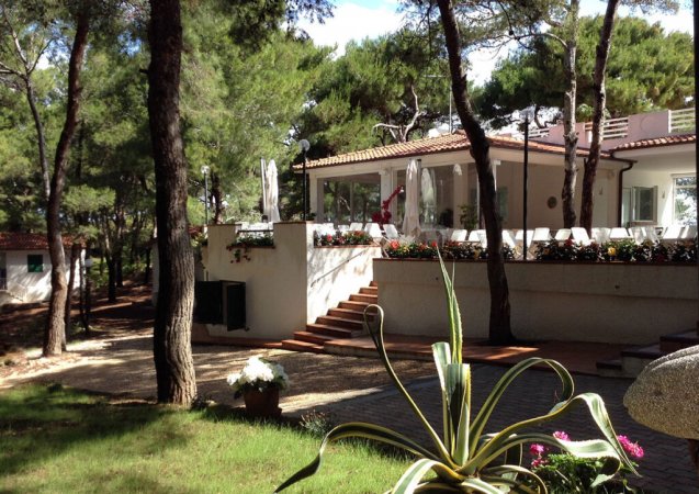 Una terrazza sopraelevata con fiori, accanto a un giardino e pini.