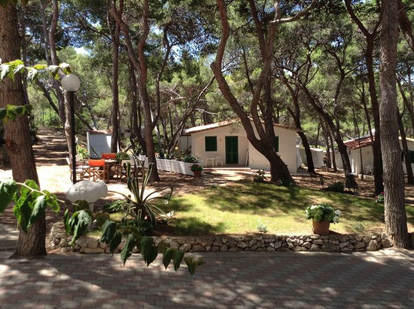 Casetta bianca in un bosco con sedie all'aperto e prato curato.