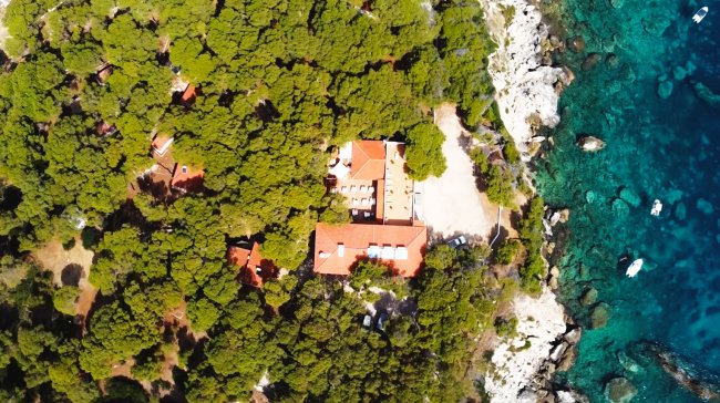 Vista aerea di una casa tra gli alberi vicino al mare.