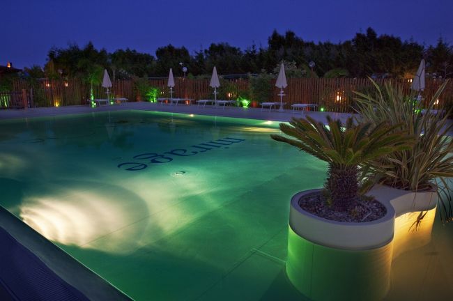 Piscina illuminata di notte con piante verdi.