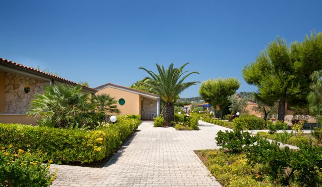 Vialetto con palme e giardino curato.