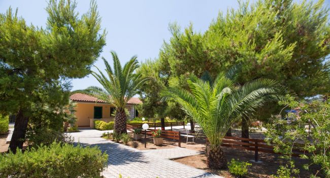 Giardino con palme e vialetti pavimentati.