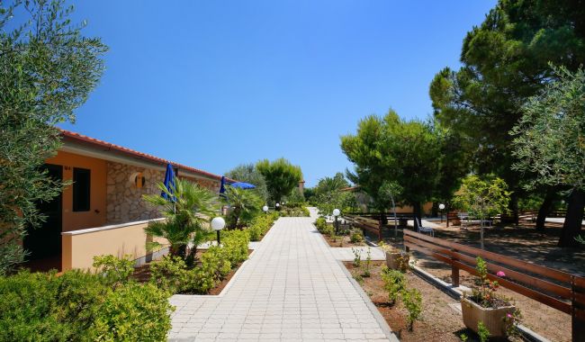 Sentiero pavimentato in mezzo a edifici e alberi verdi.