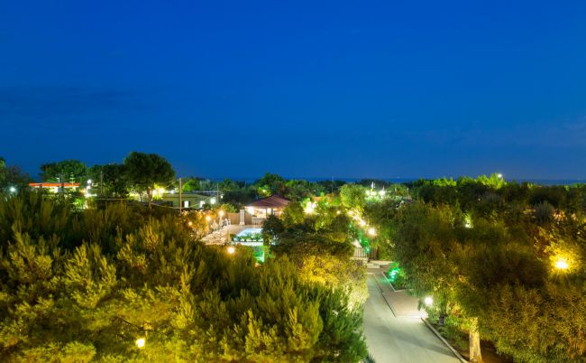 Veduta notturna su alberi illuminati lungo un viale.