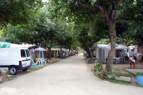 Un viale alberato con camper e tavoli da campeggio su entrambi i lati.