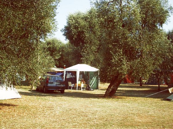 Campeggio con una tenda bianca, un'auto e alberi circostanti.