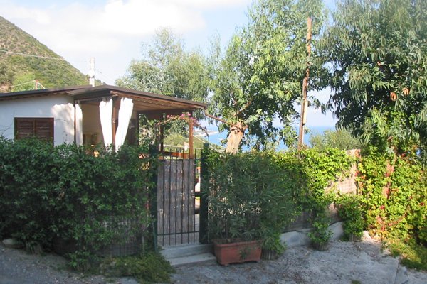 Cancello e giardino verdeggiante vicino a una casa bianca.